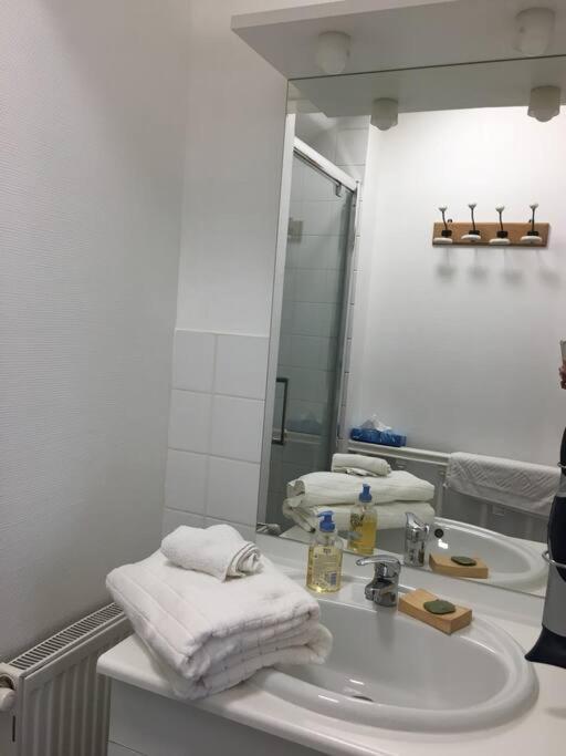 Bel Appartement Climatise Plein Centre Ville Poitiers Eksteriør bilde